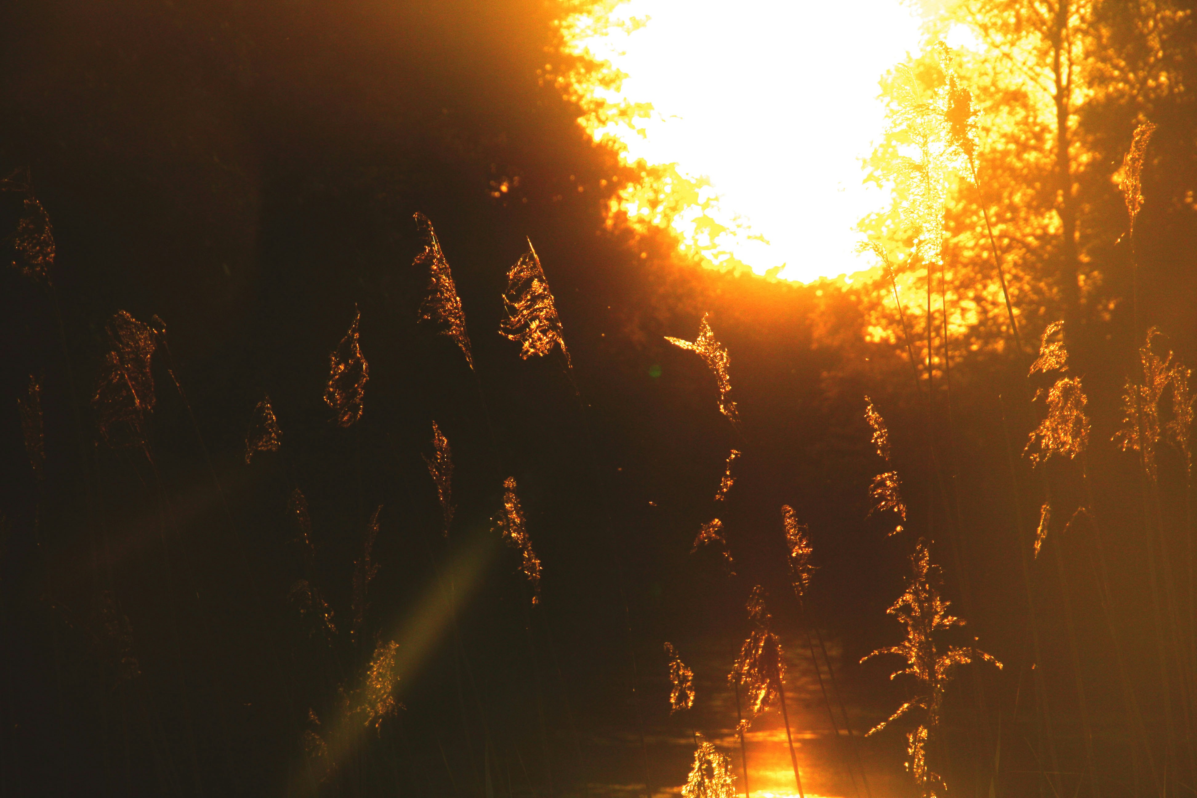 Free Unsplash photo from mark wielinga