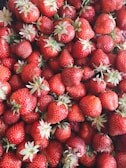 A large pile of fresh strawberries is tightly packed together with some showing their green leaves and stems. The strawberries appear ripe, vibrant, and ready to eat.