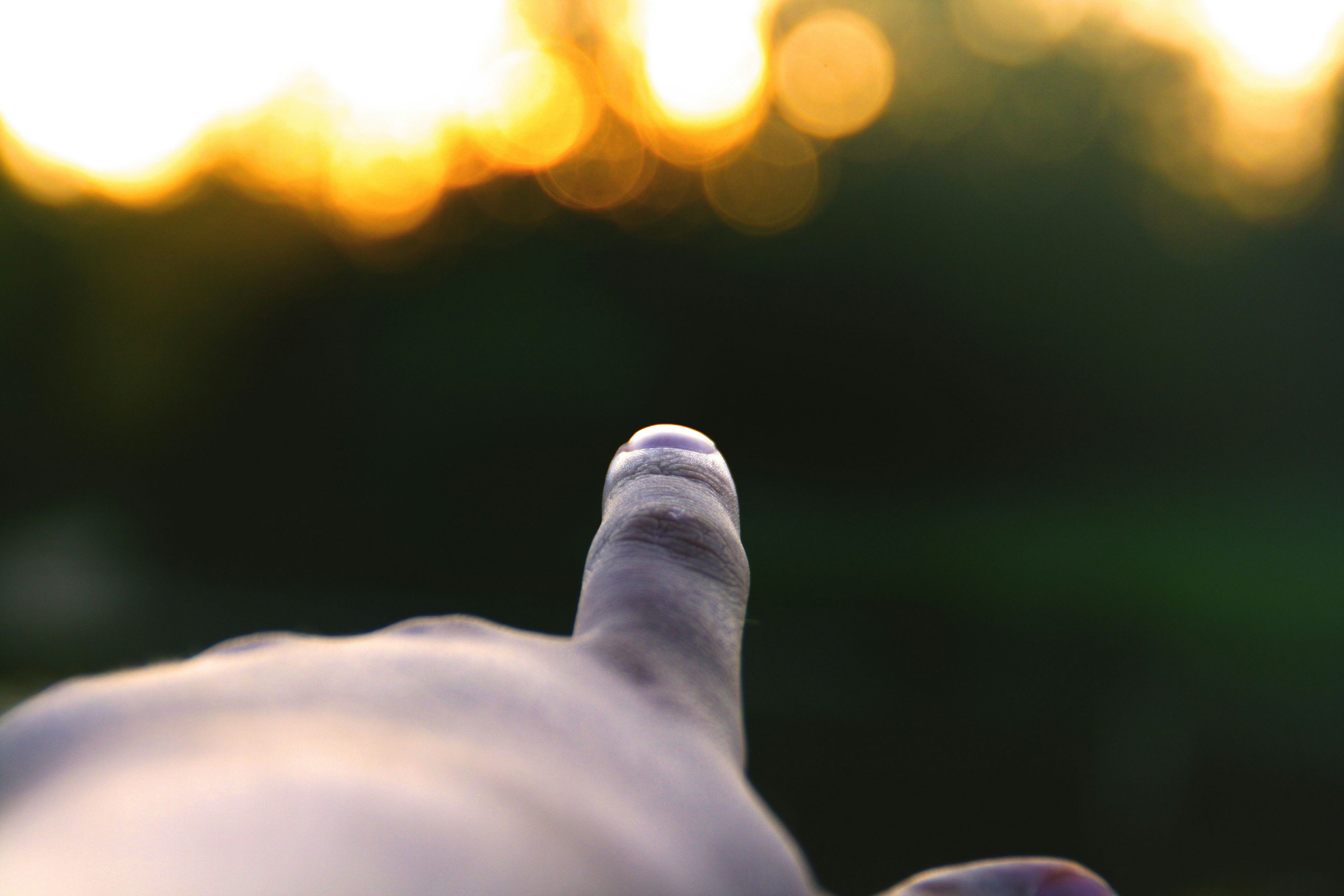 Free Unsplash photo from mark wielinga