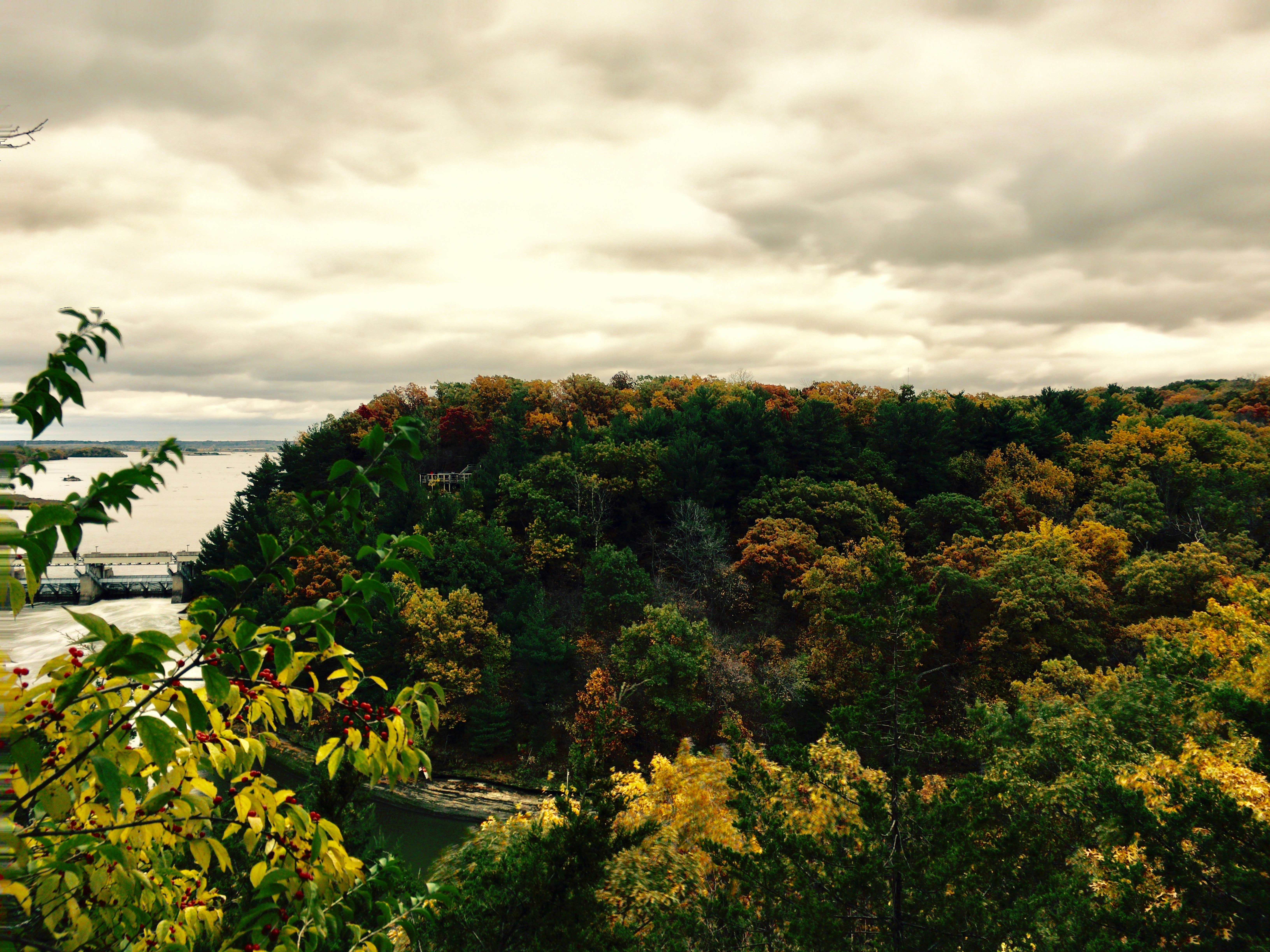 Free Unsplash photo from Chris Gonzalez