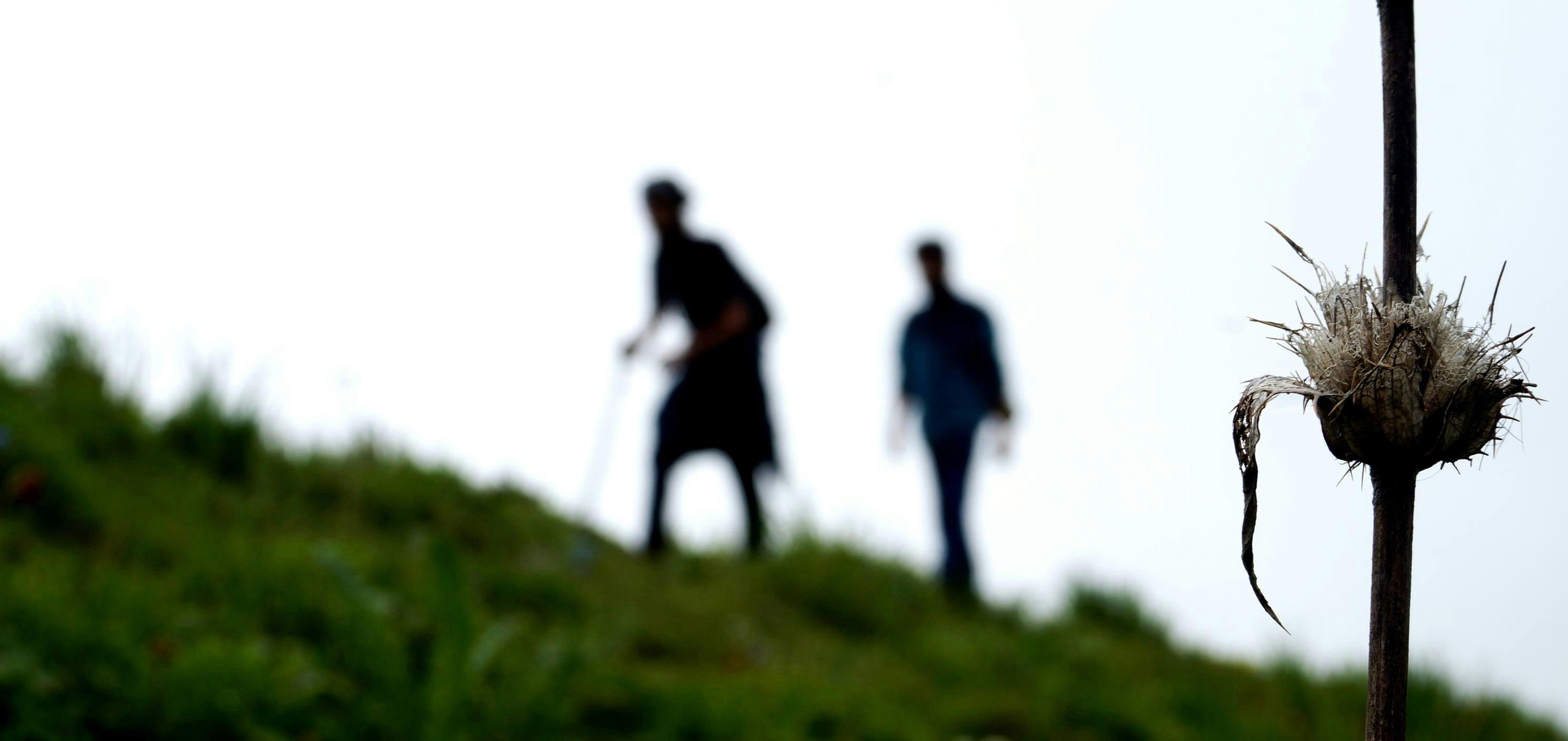 Free Unsplash photo from Yudi Silvercloud