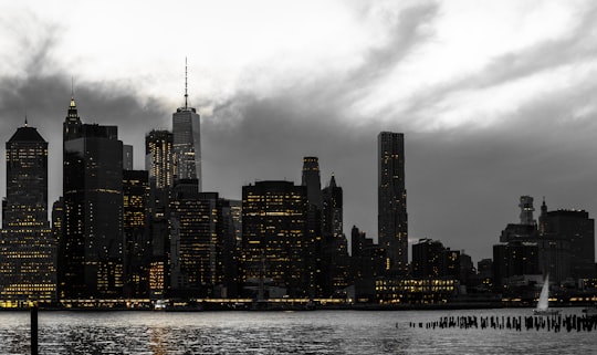 aerial photography skyscraper under gray clouds in Brooklyn Bridge Park United States