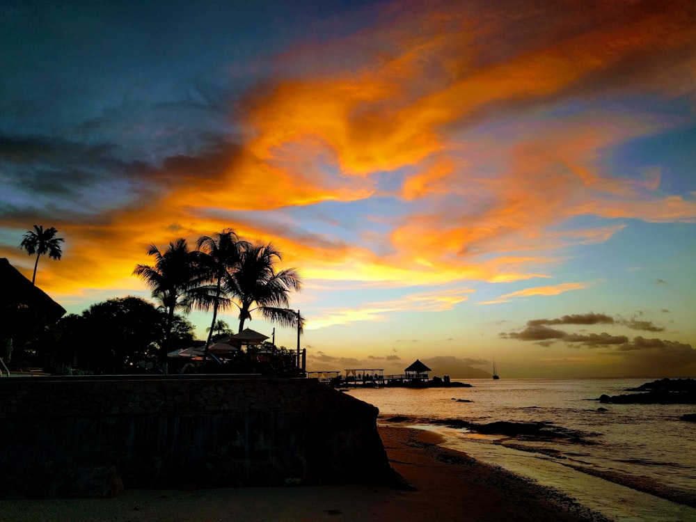 palm tree silhouette near seashore