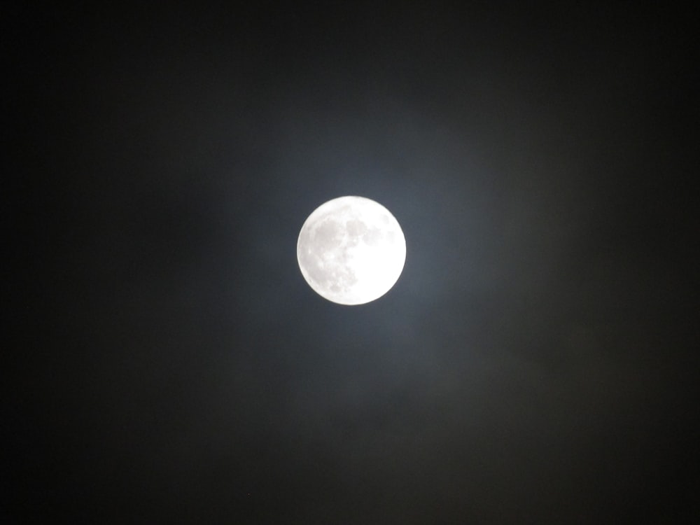 Foto blanca de luna llena