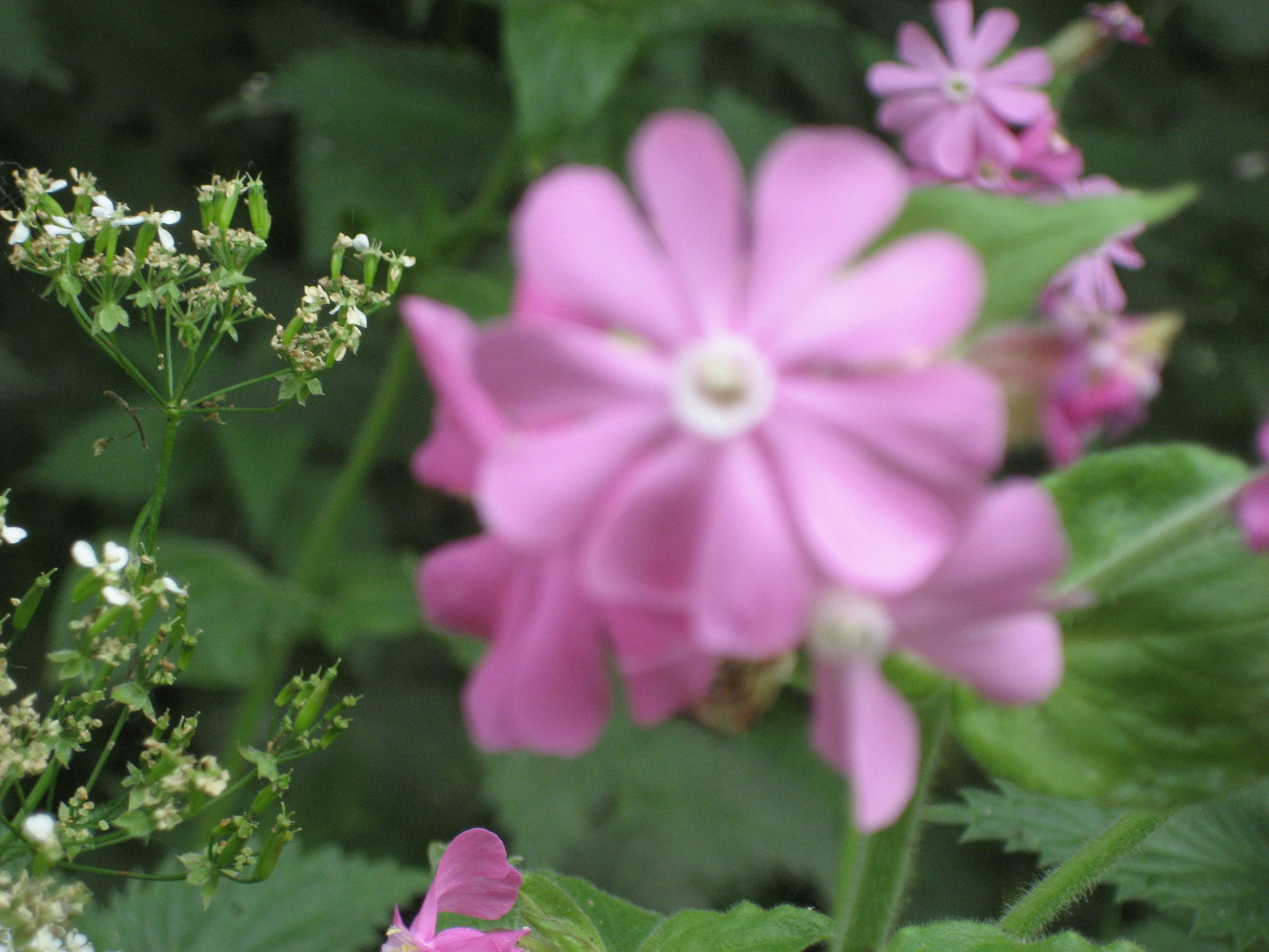 Free Unsplash photo from Grace Kamp