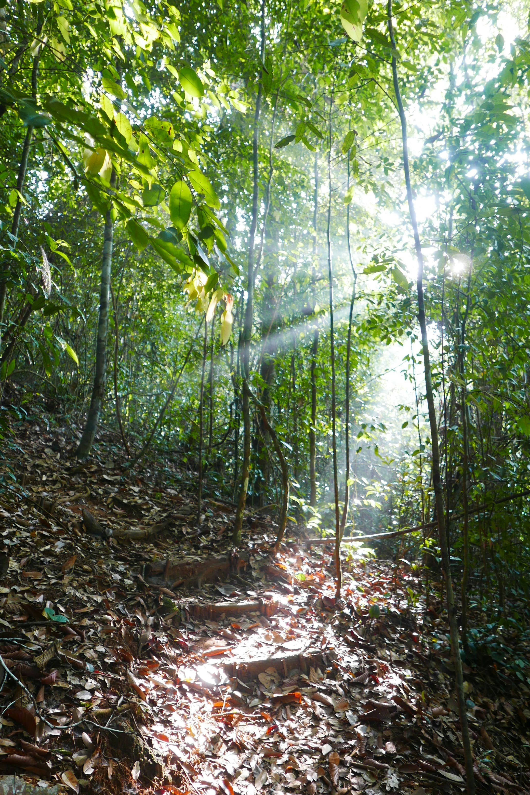 Free Unsplash photo from Irina