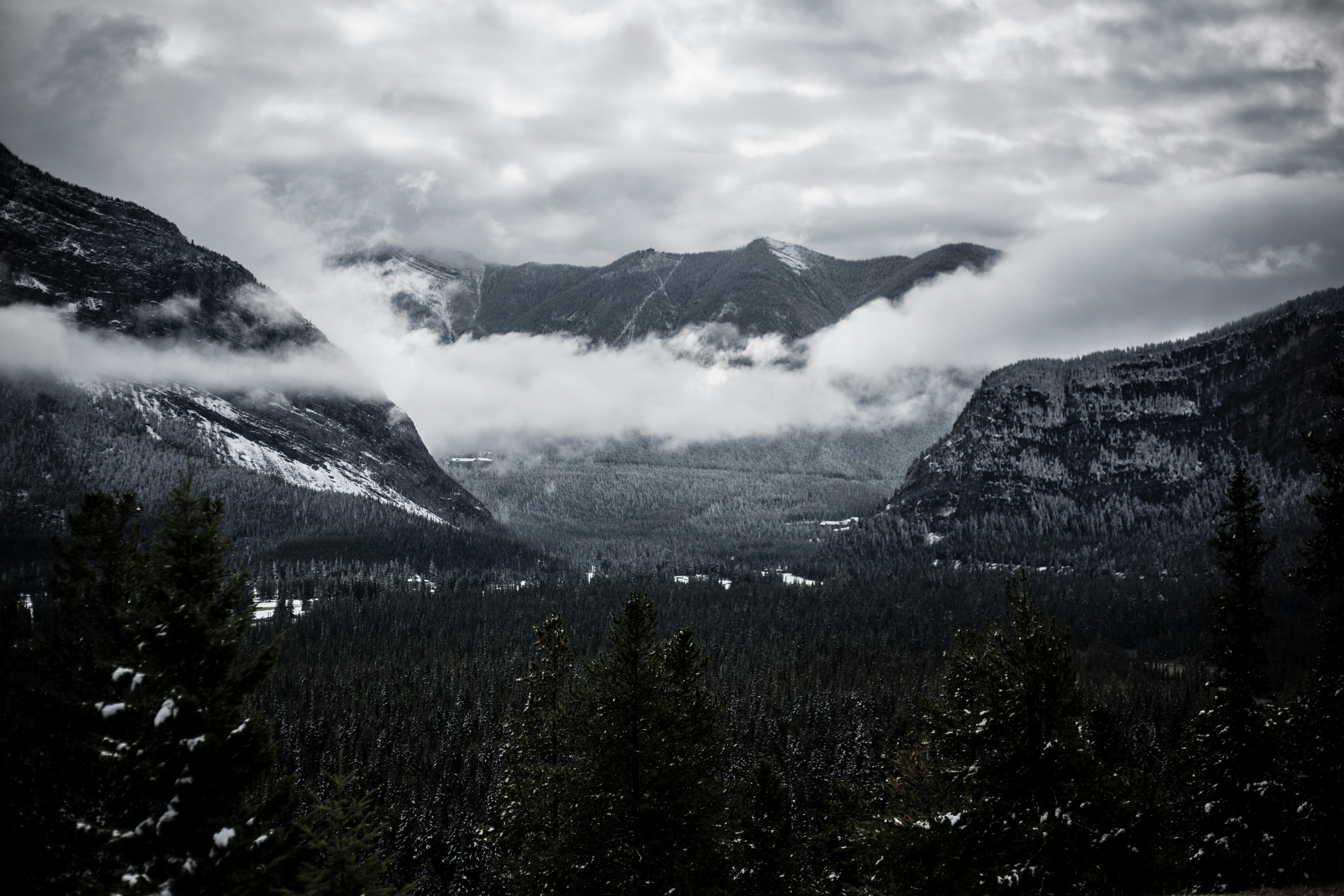 Free Unsplash photo from Regis Freyd