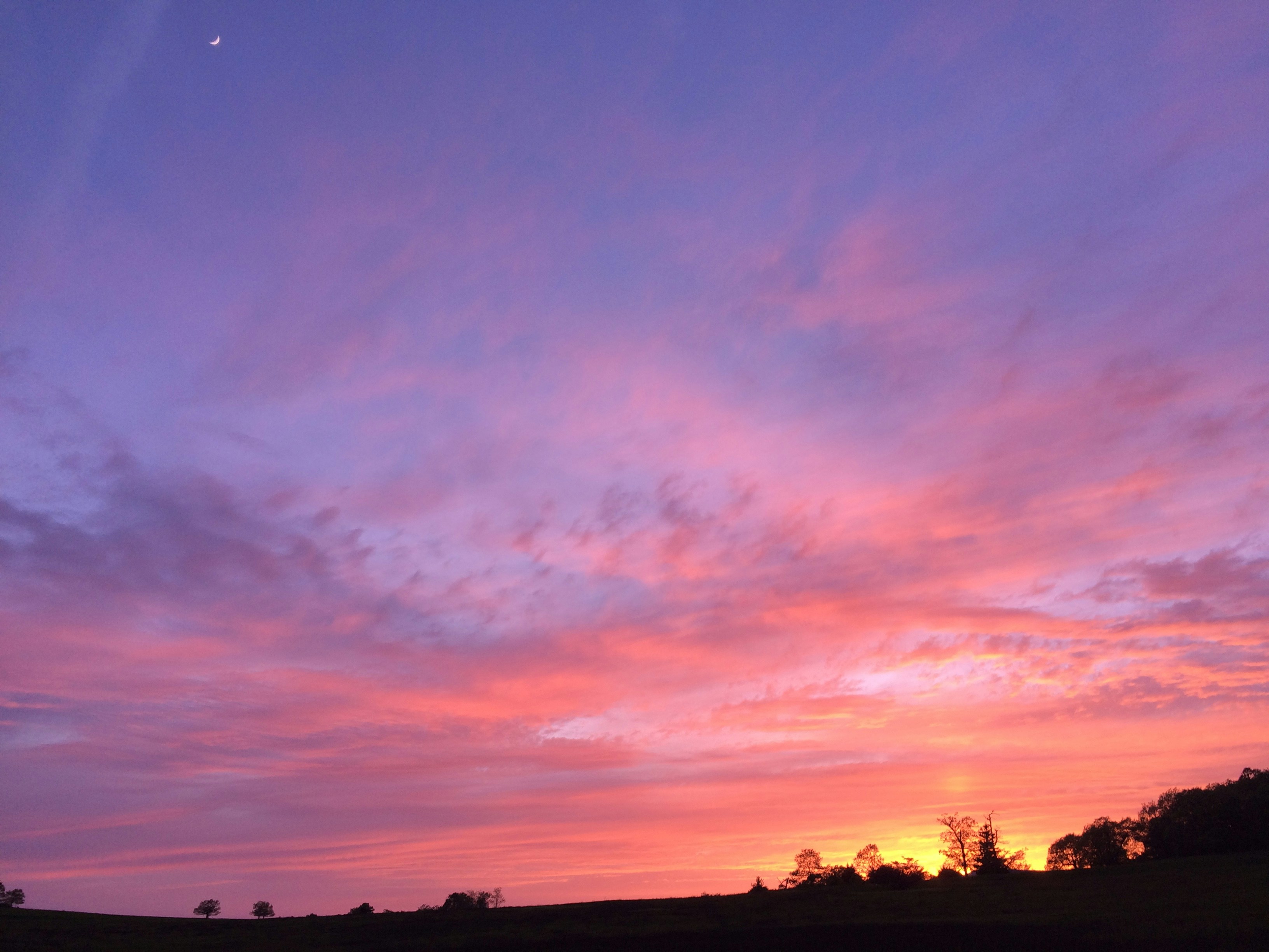 Free Unsplash photo from Mario Jimenez