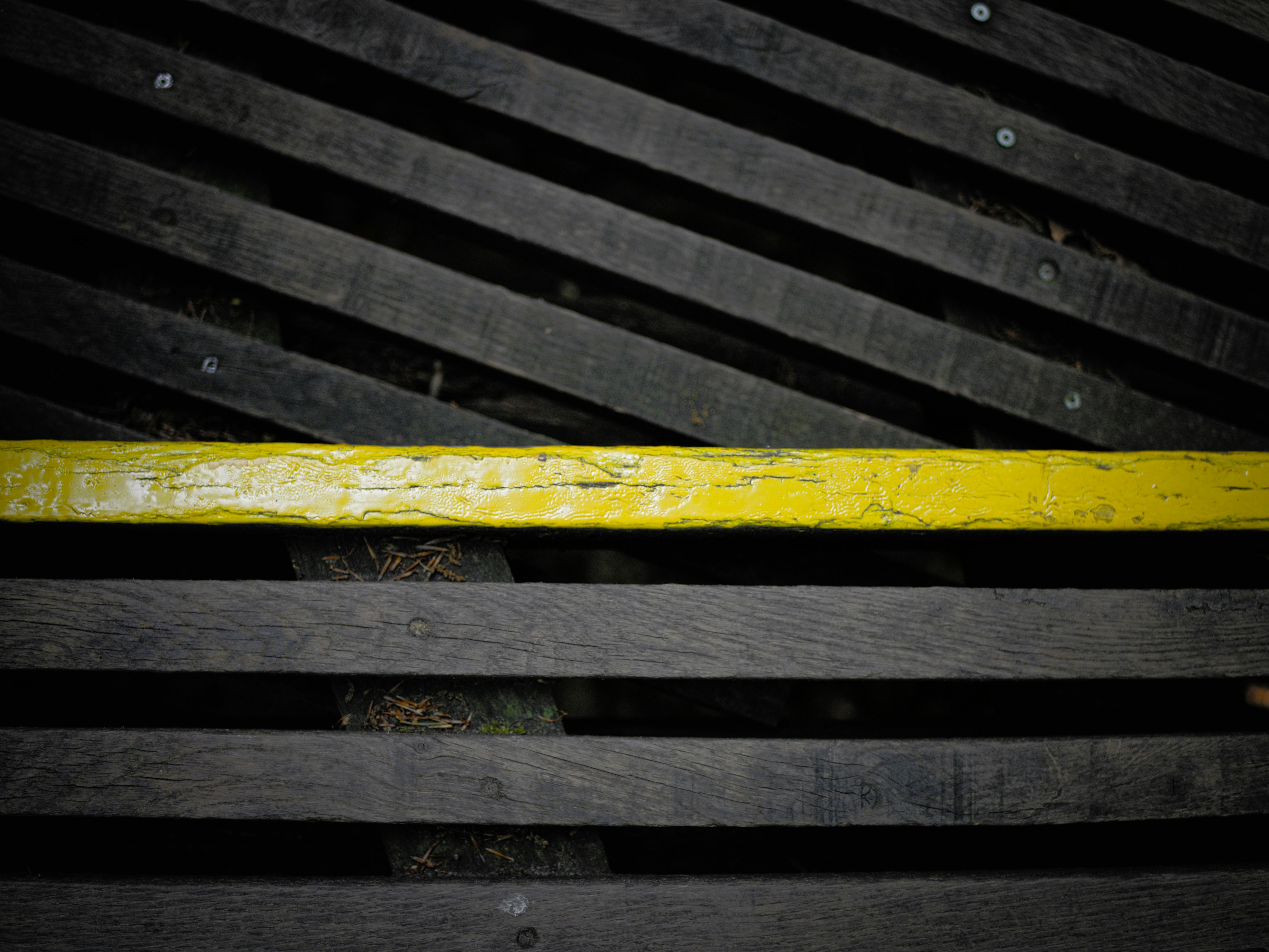 Free Unsplash photo from Harm Weustink