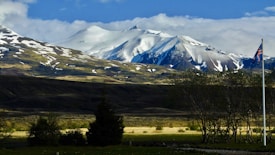 A scenic view of snow-capped mountains under a vibrant blue sky is visible. The foreground features a grassy area with scattered trees and an Icelandic flag on a flagpole, while the middle ground is enriched with lush green plains.
