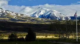 A scenic view of snow-capped mountains under a vibrant blue sky is visible. The foreground features a grassy area with scattered trees and an Icelandic flag on a flagpole, while the middle ground is enriched with lush green plains.