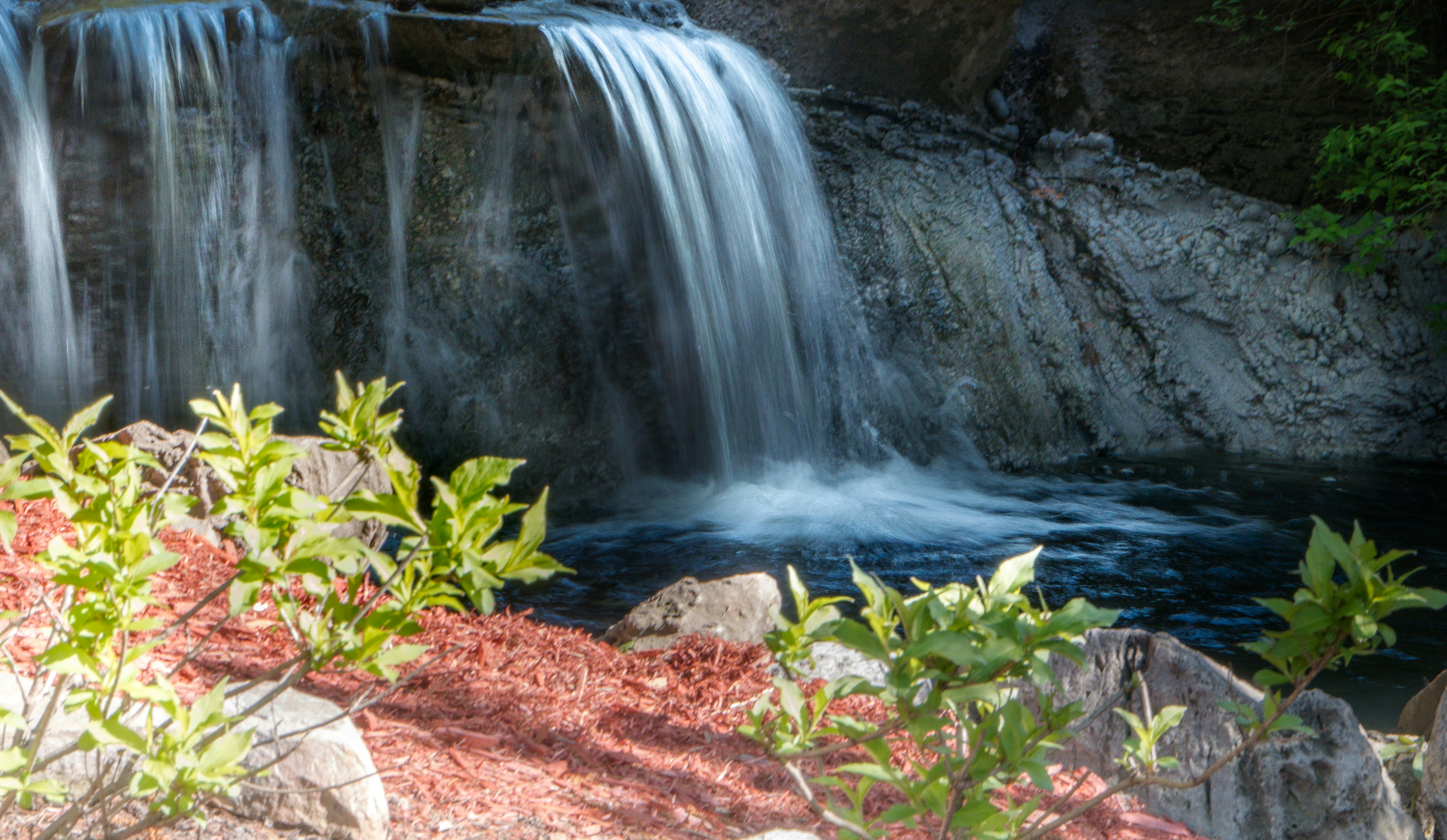 Free Unsplash photo from Jean Dion