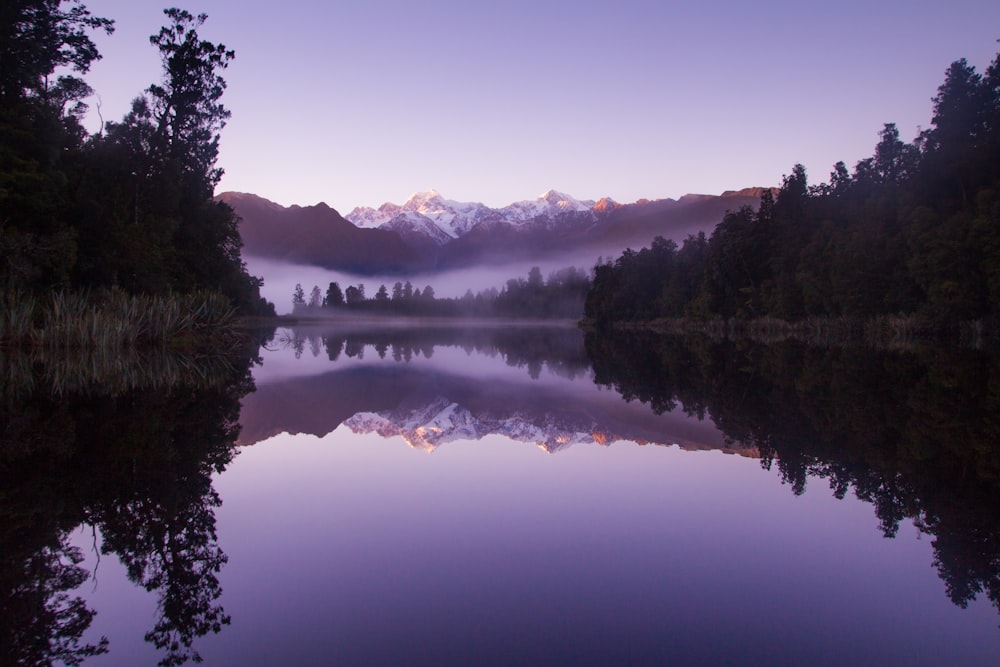 Photo de lac près des arbres