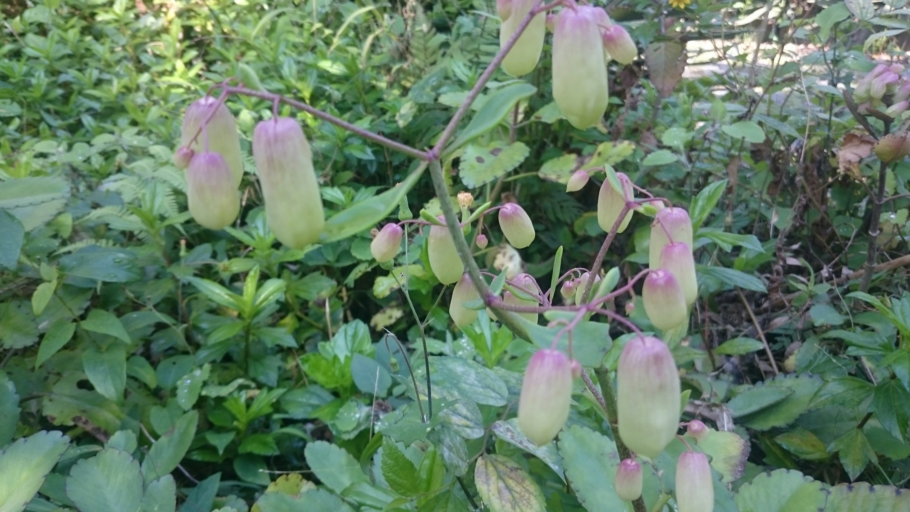 Free Unsplash photo from Peyrong Yang