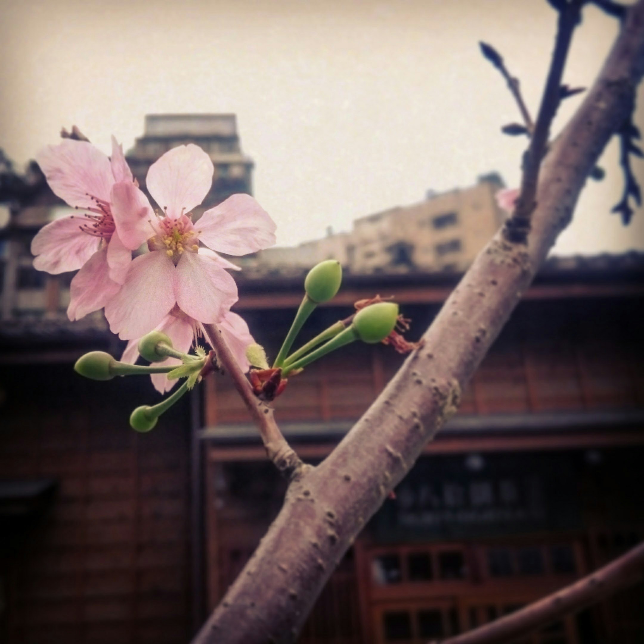 Free Unsplash photo from Peyrong Yang