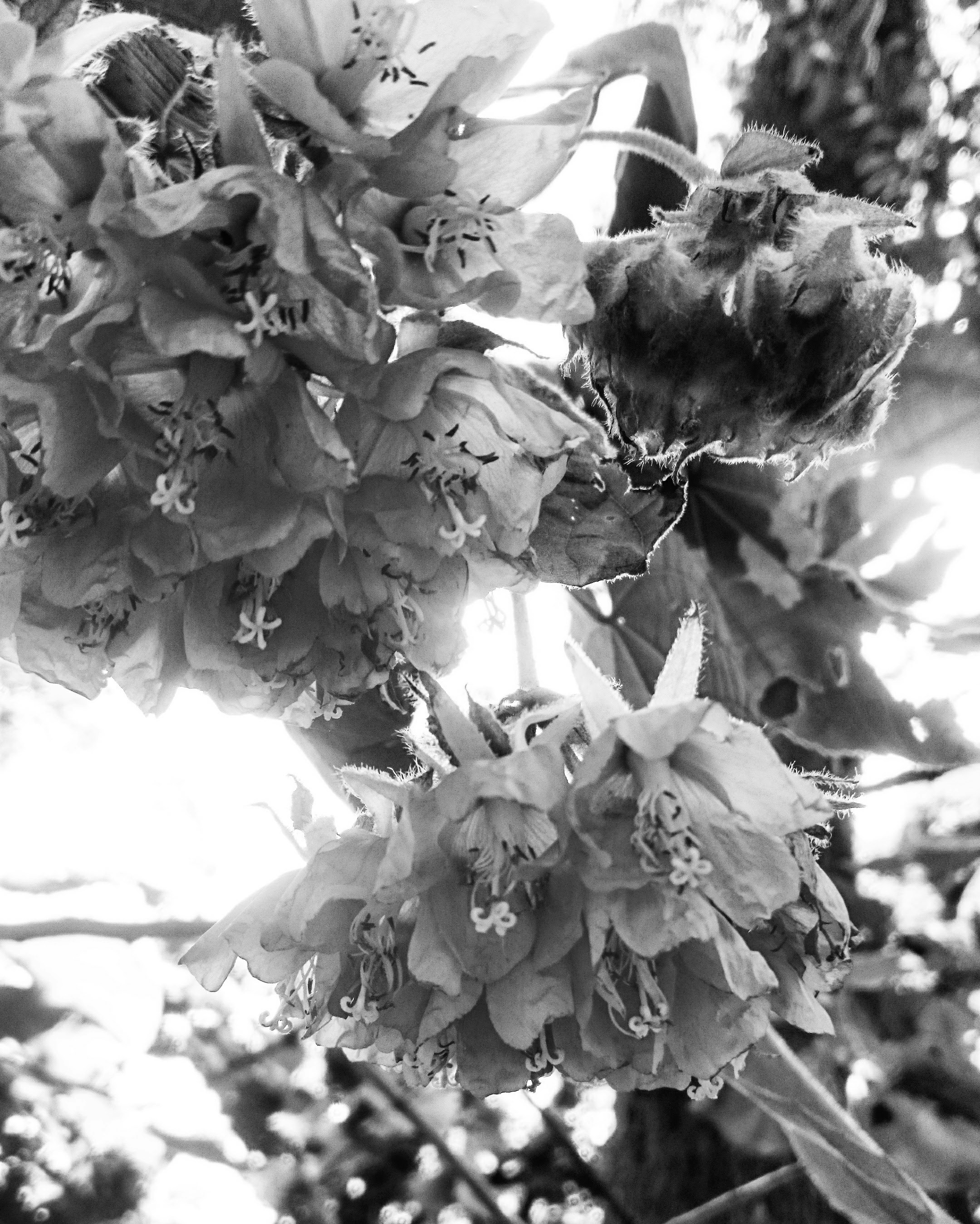 Free Unsplash photo from Peyrong Yang