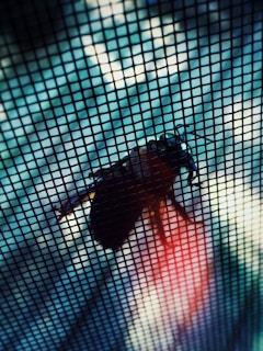 A close-up of a pleated insect screen installed on a window.