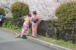 Two people in traditional Japanese kimonos are standing on a sidewalk next to a metal fence, facing a background of white cherry blossom trees and green shrubs. One person is pointing something out, possibly taking a photo. A beige and a green bag rest on the ground nearby.