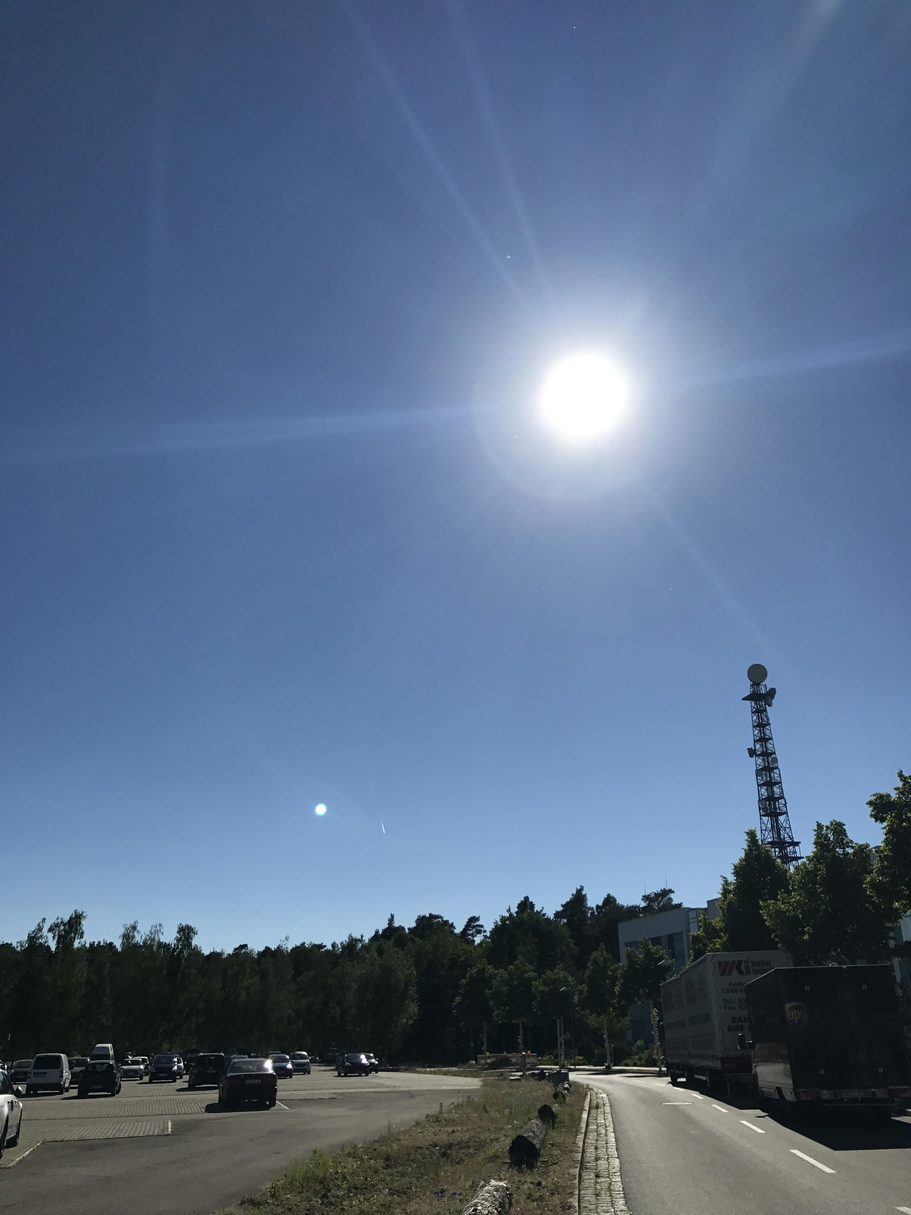 Free Unsplash photo from Nelly Pourmehr