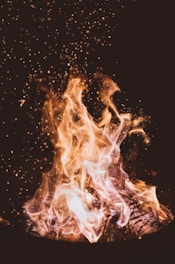 close-up photo of fire at nighttime