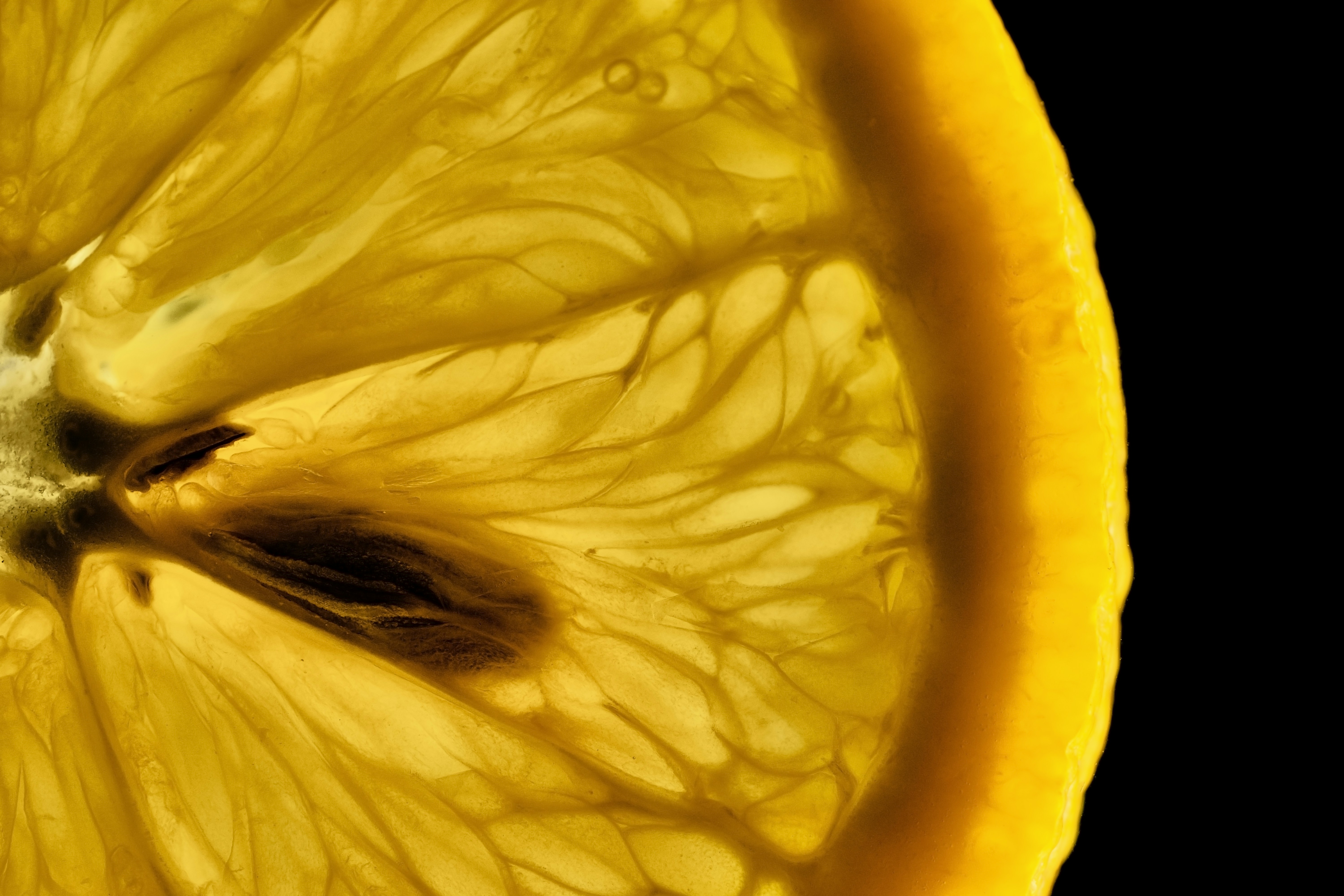 Free Unsplash photo from Dmitry Dreyer