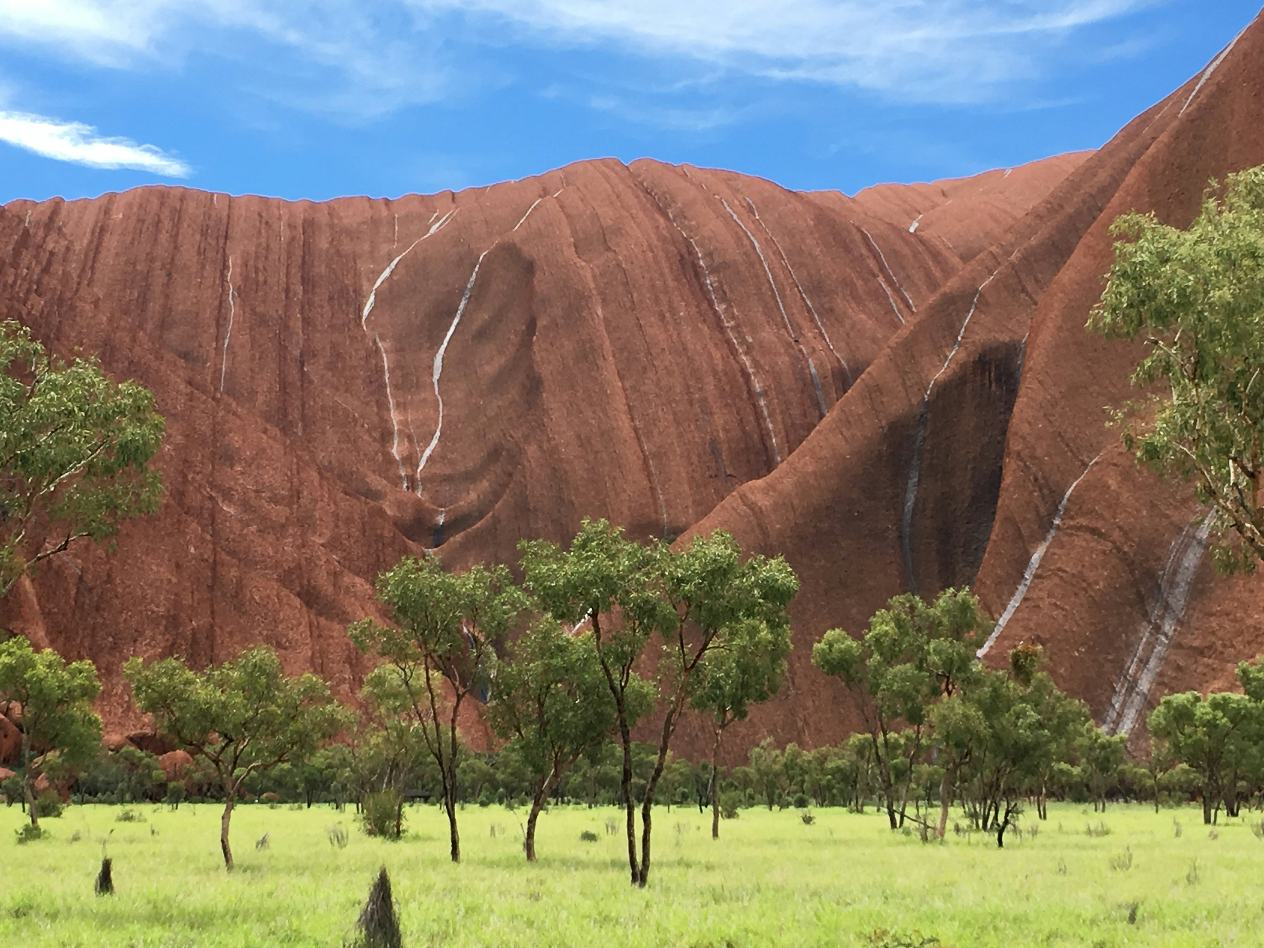 Free Unsplash photo from Morag Paton