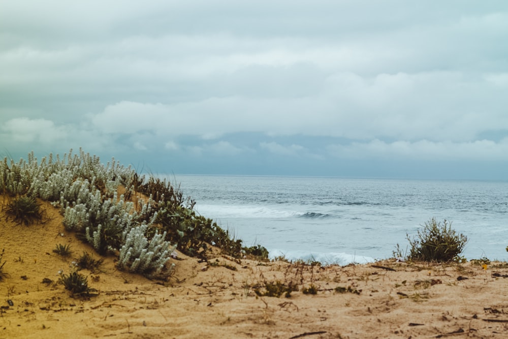 a view of the ocean from a sandy beach