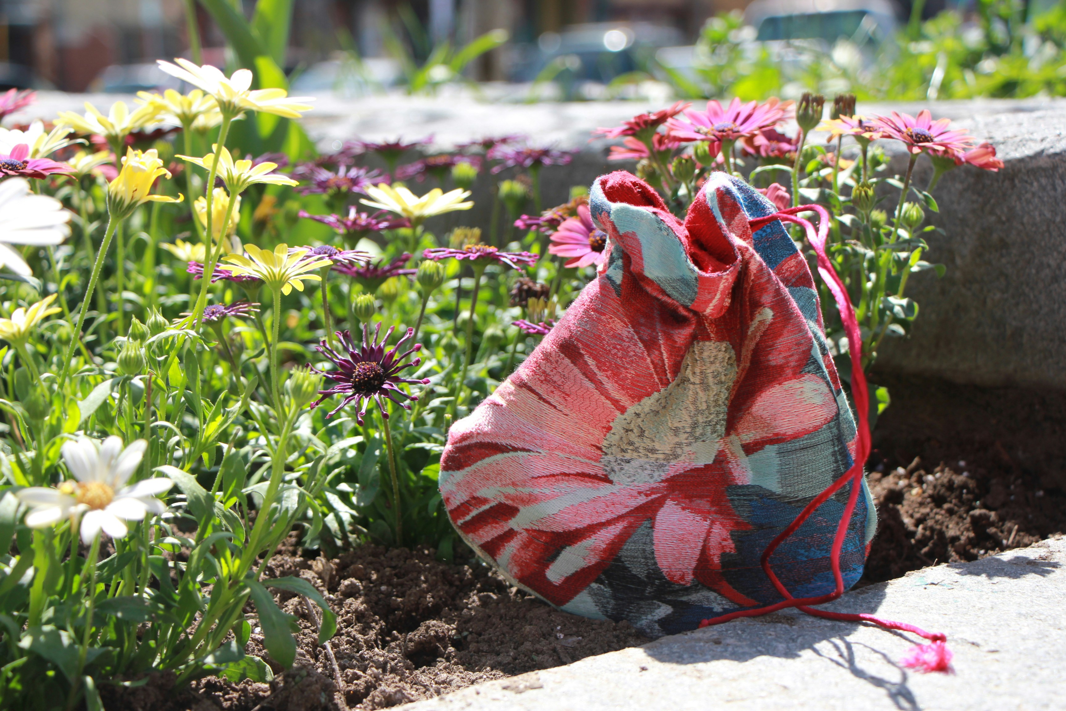 Free Unsplash photo from James Sullivan