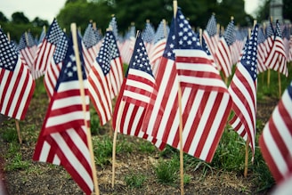 American flag lot