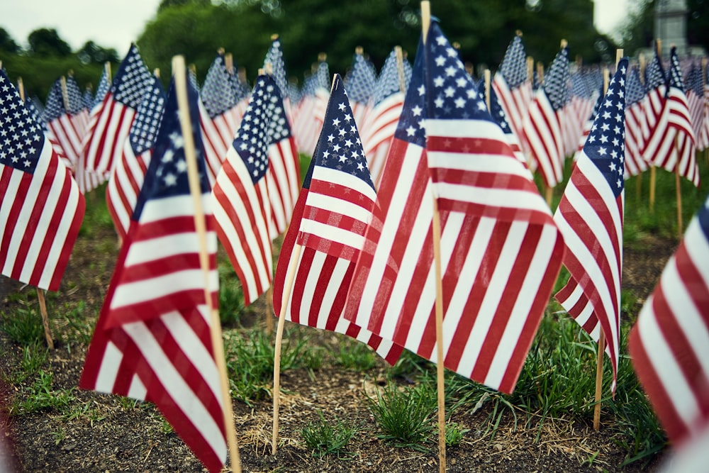 American flag lot