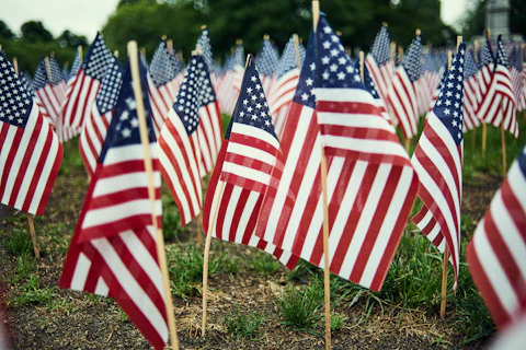 Small American flags planted in a grassy field