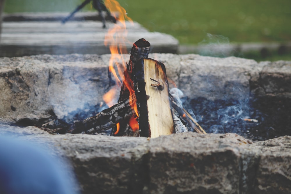 photo of firewood on fire