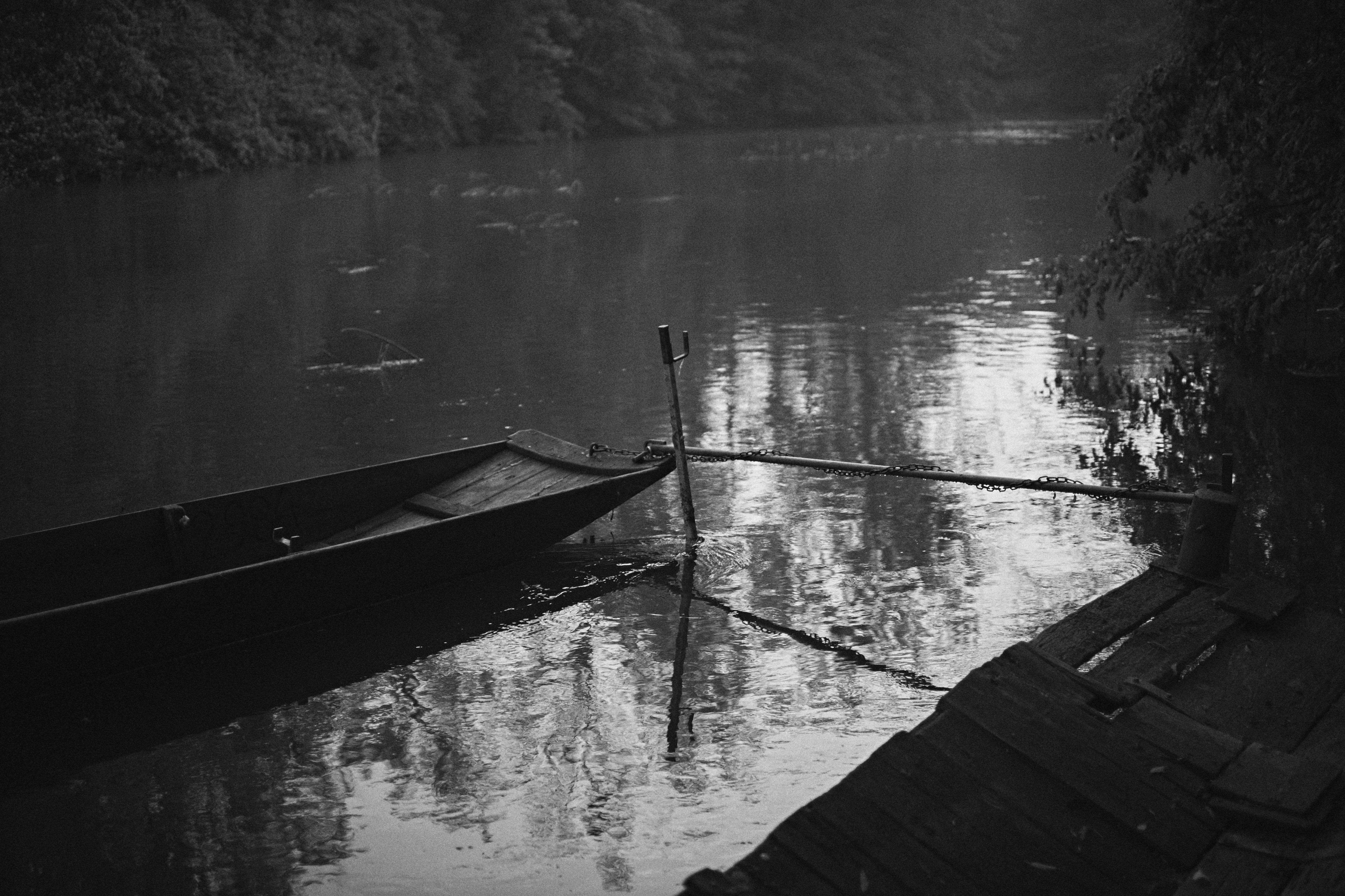 Free Unsplash photo from Thomas Millot