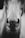 grayscale photo of horse