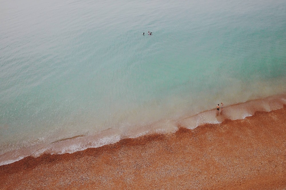 aerial view of people at seashore