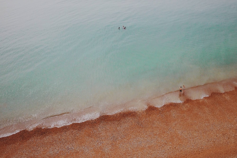 Vista aérea de personas en la orilla del mar