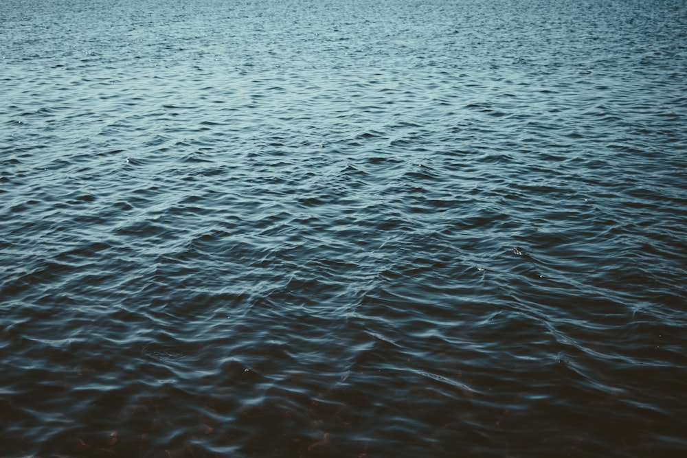 Cuerpo de agua tranquilo durante el día