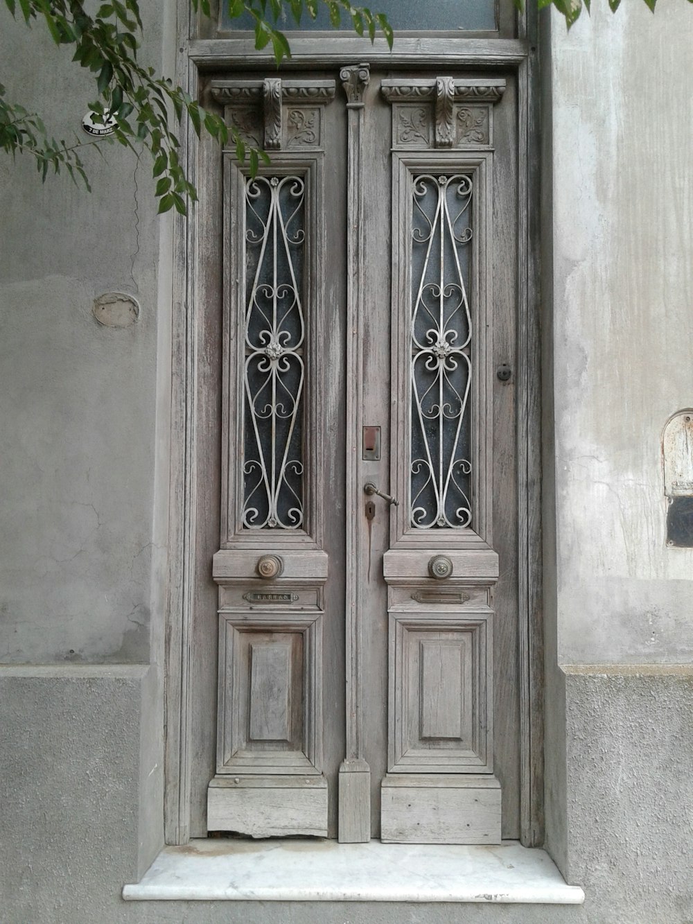 porta fechada perto de árvore de folhas verdes