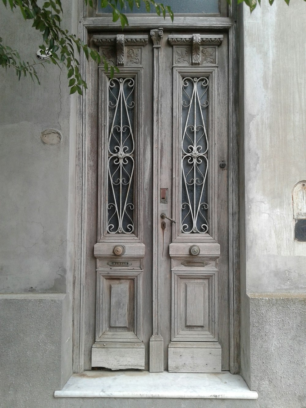 Puerta cerrada cerca de un árbol de hojas verdes