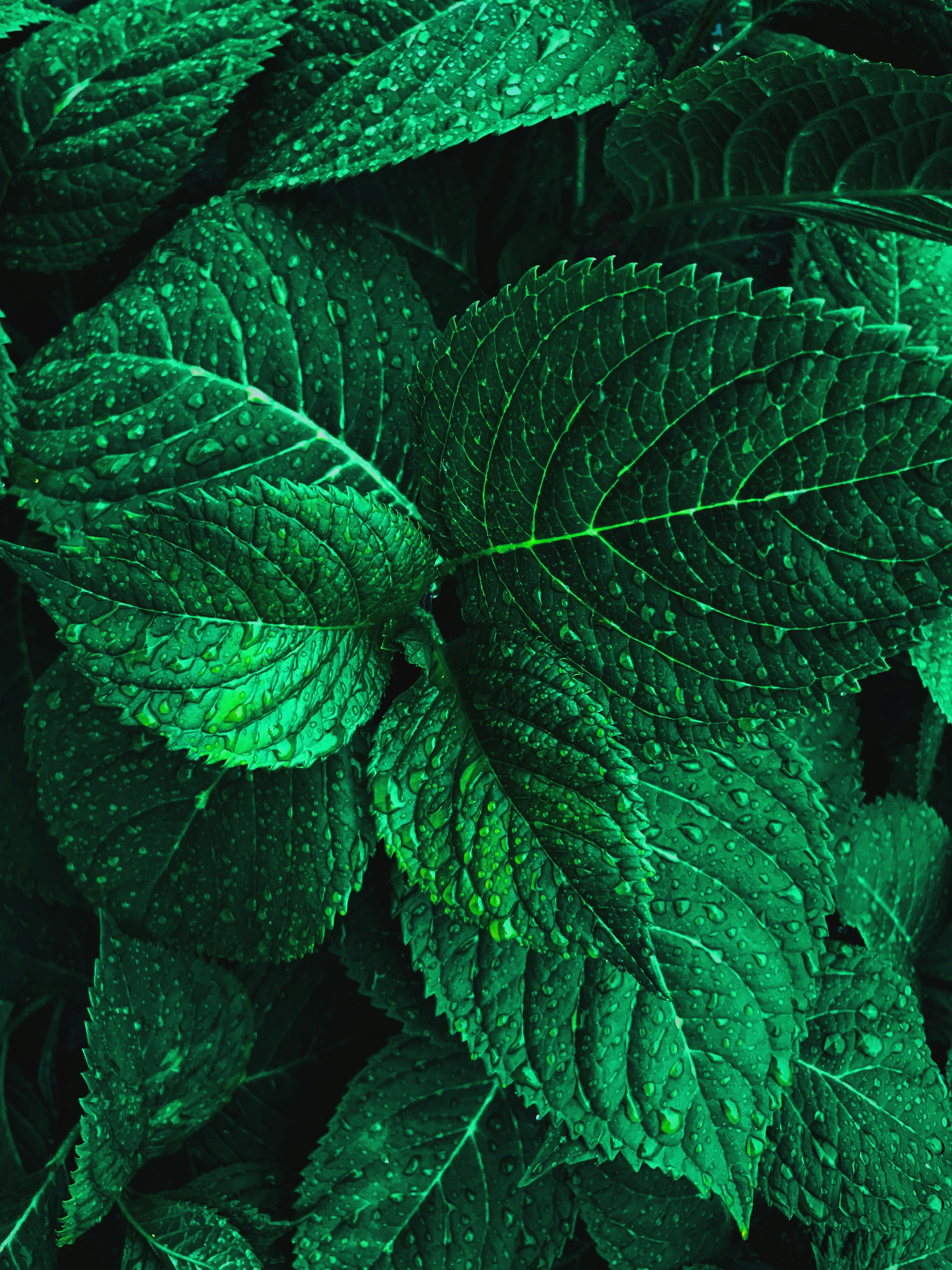 Free Unsplash photo from Andrew Coelho