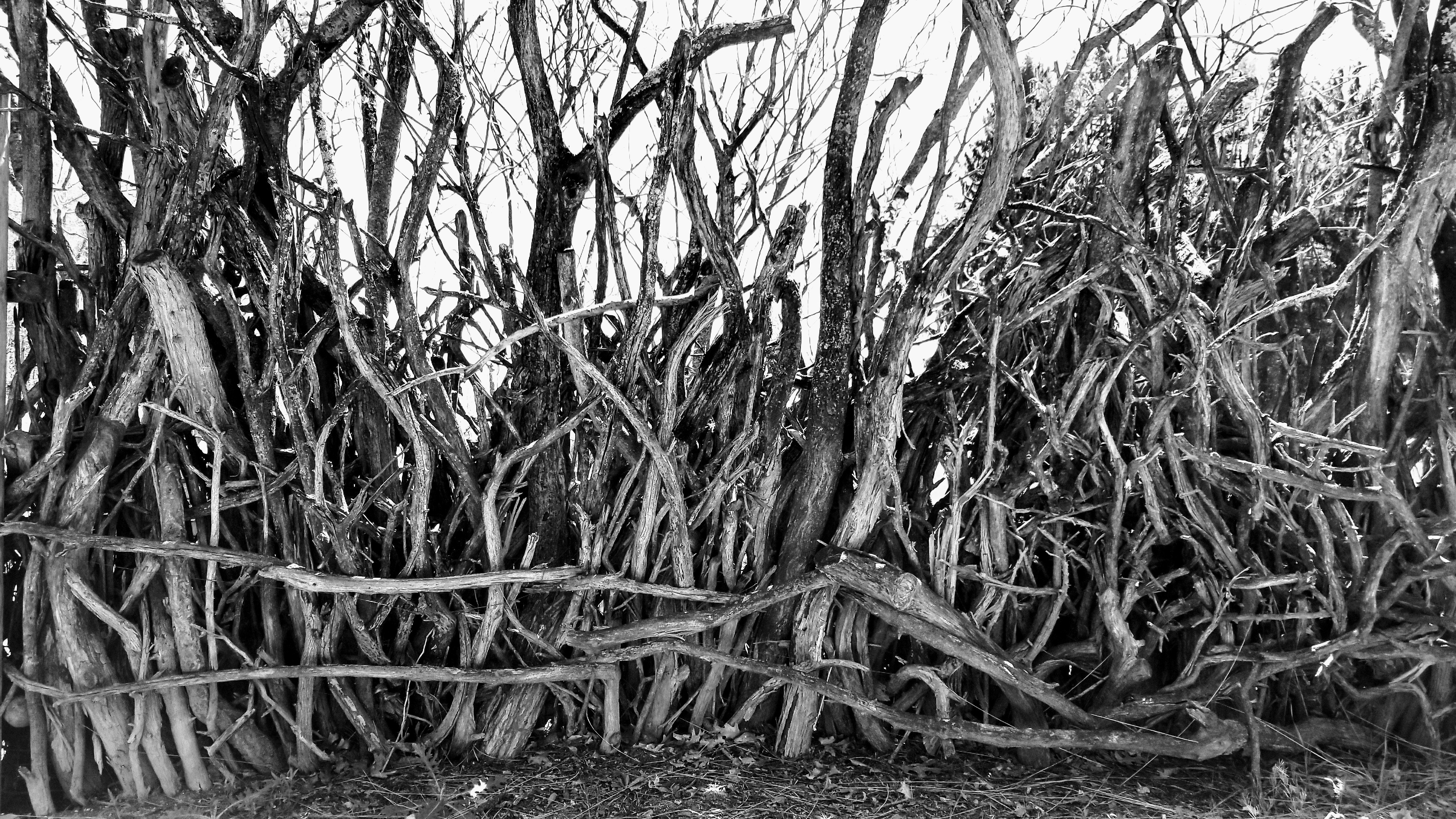 Free Unsplash photo from Gonzalo Ramirez