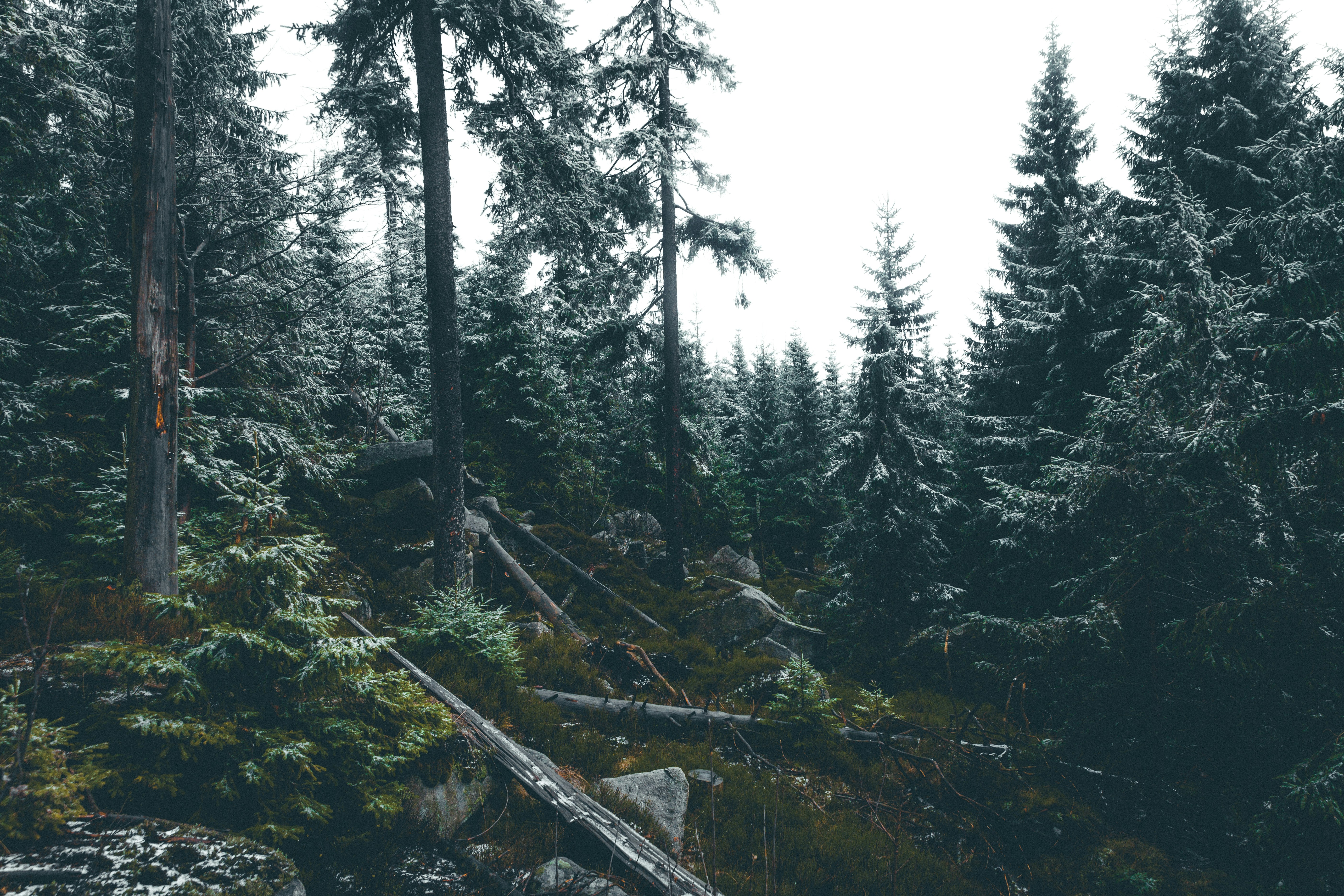 Photo by adrian_infernus