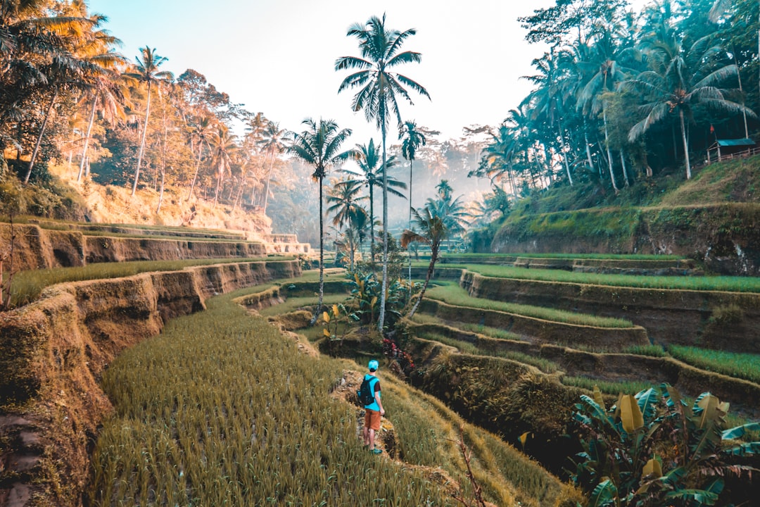 travelers stories about Historic site in Tegallalang Rice Terrace, Indonesia