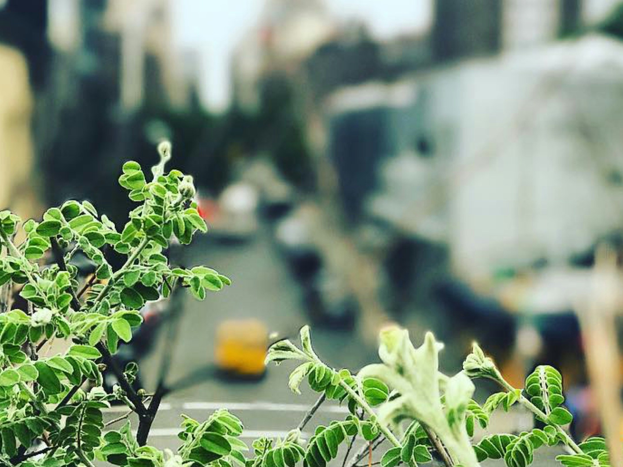 Free Unsplash photo from Alex Lakas