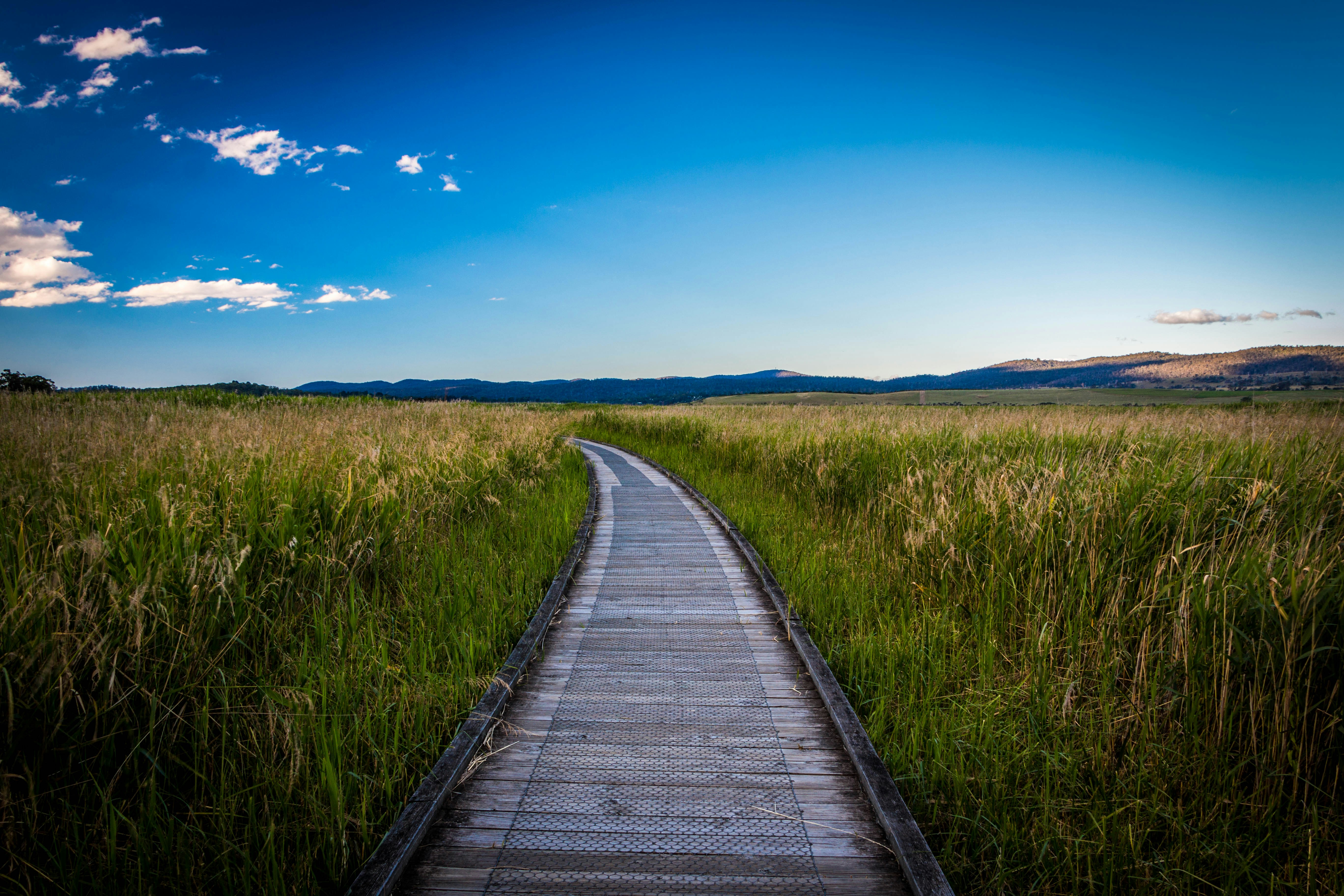 Free Unsplash photo from Paul Carmona