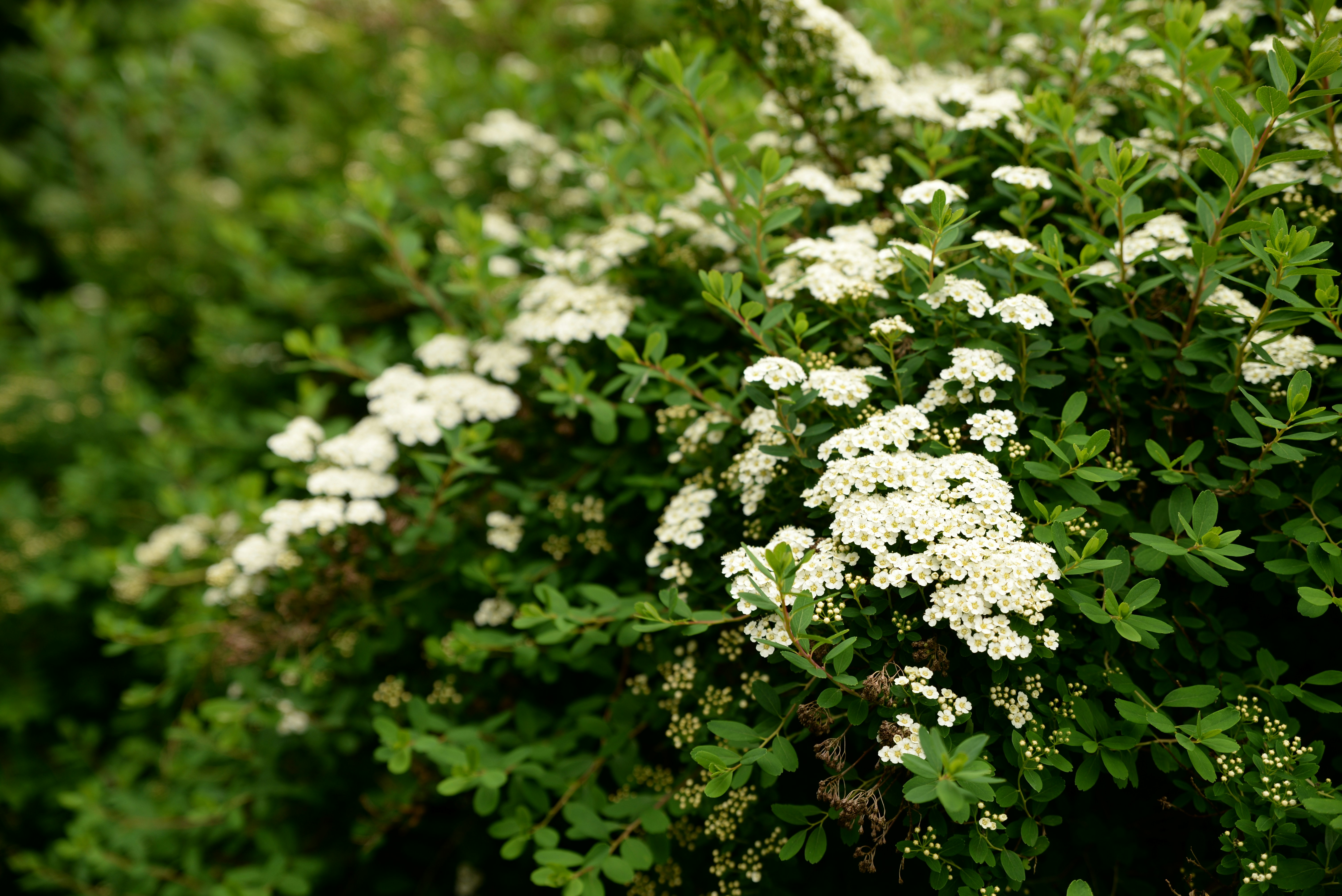 Free Unsplash photo from HyunKuk Kim