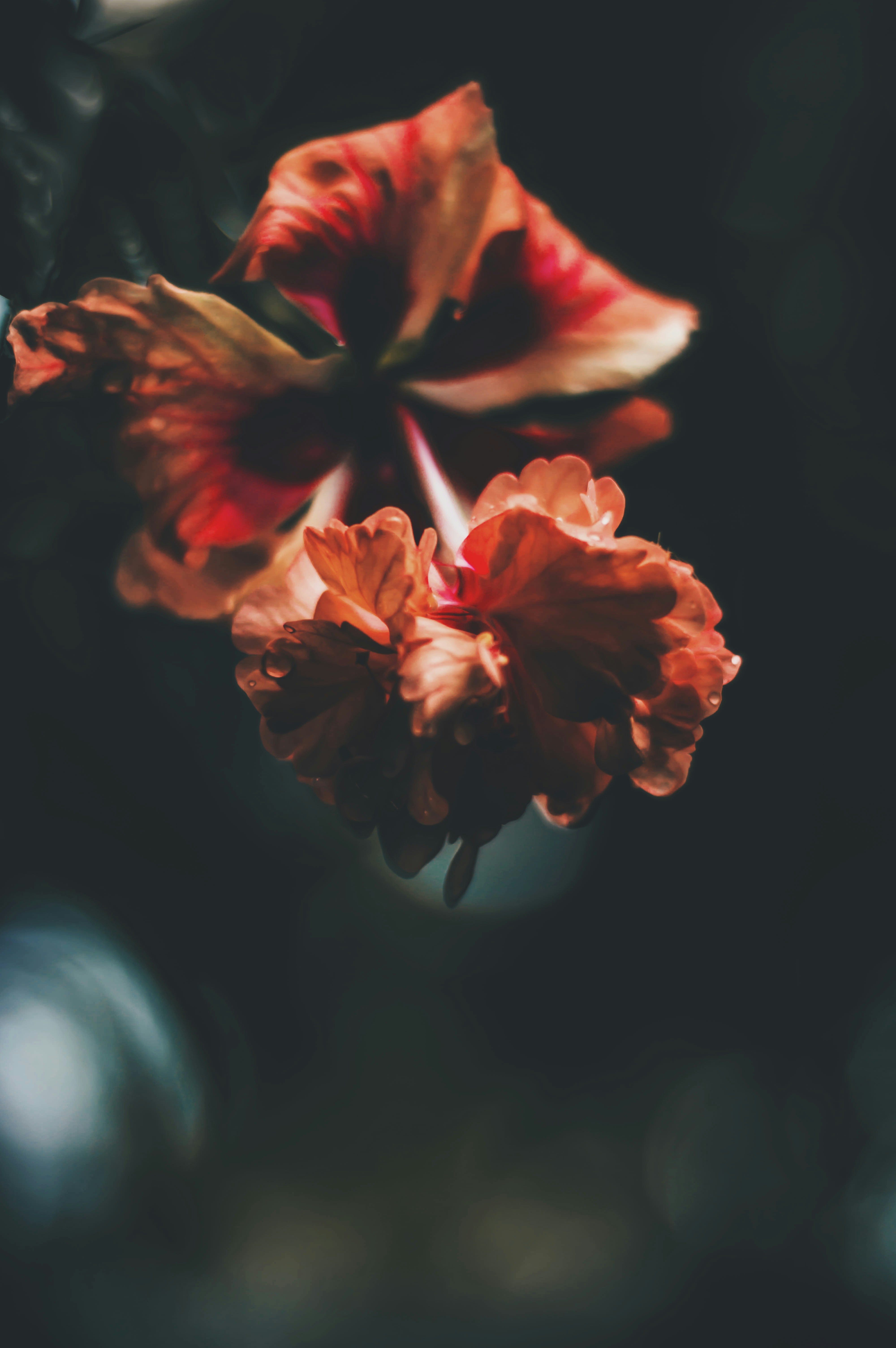 Free Unsplash photo from Amith Krishna