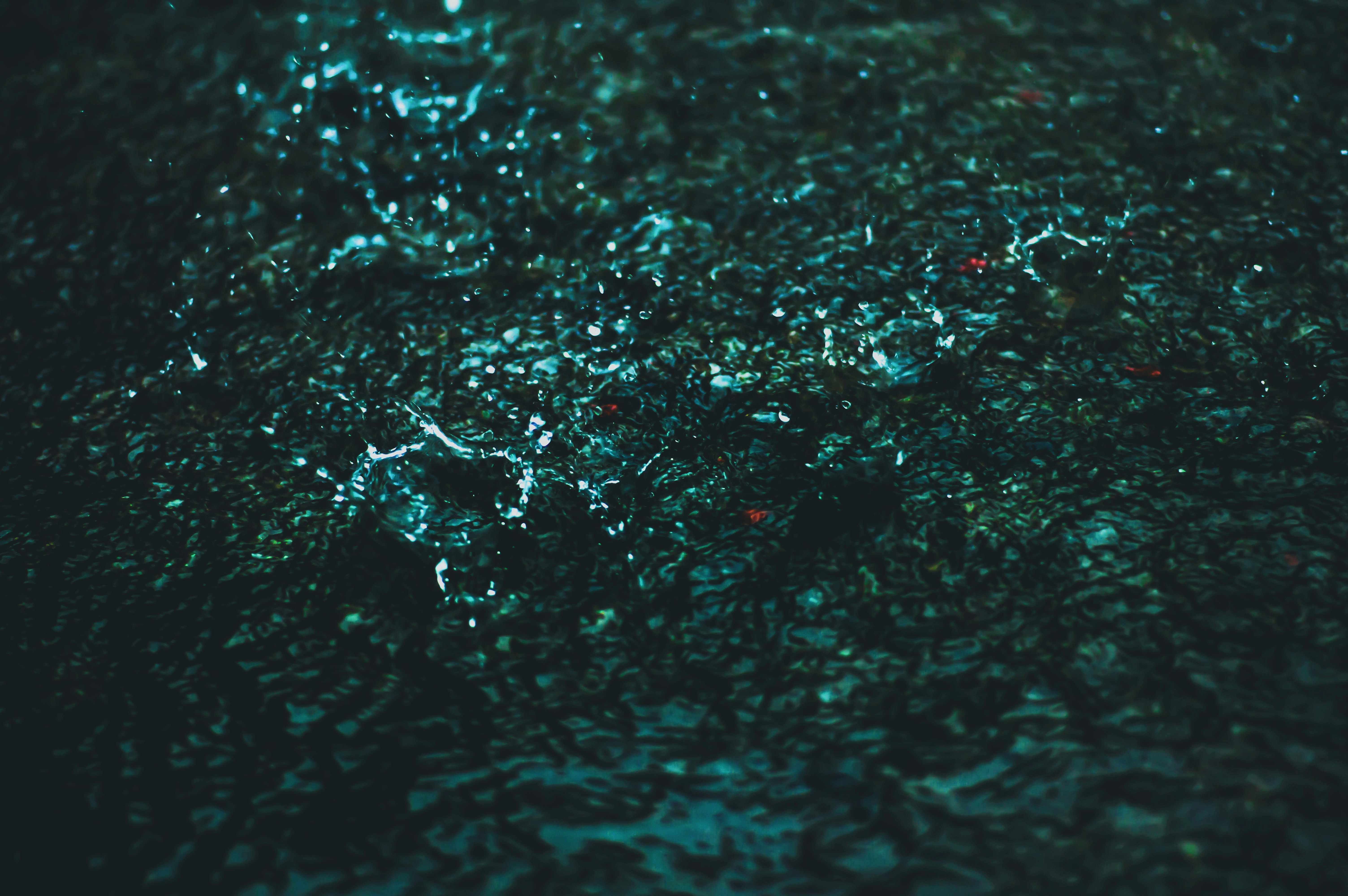 Free Unsplash photo from Amith Krishna