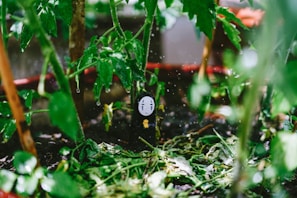 A No-Face character figurine is nestled in a lush garden setting among vibrant green leaves and stems of plants. Water droplets are visibly hanging from the leaves, suggesting recent rainfall or watering.