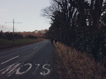 A quiet, empty road curves off into the distance, flanked by a dense line of trees on one side and railway tracks on the other. Two people are walking along the side of the road, and the word 'SLOW' is painted on the road surface. The surrounding foliage and bare trees suggest it is autumn or winter.